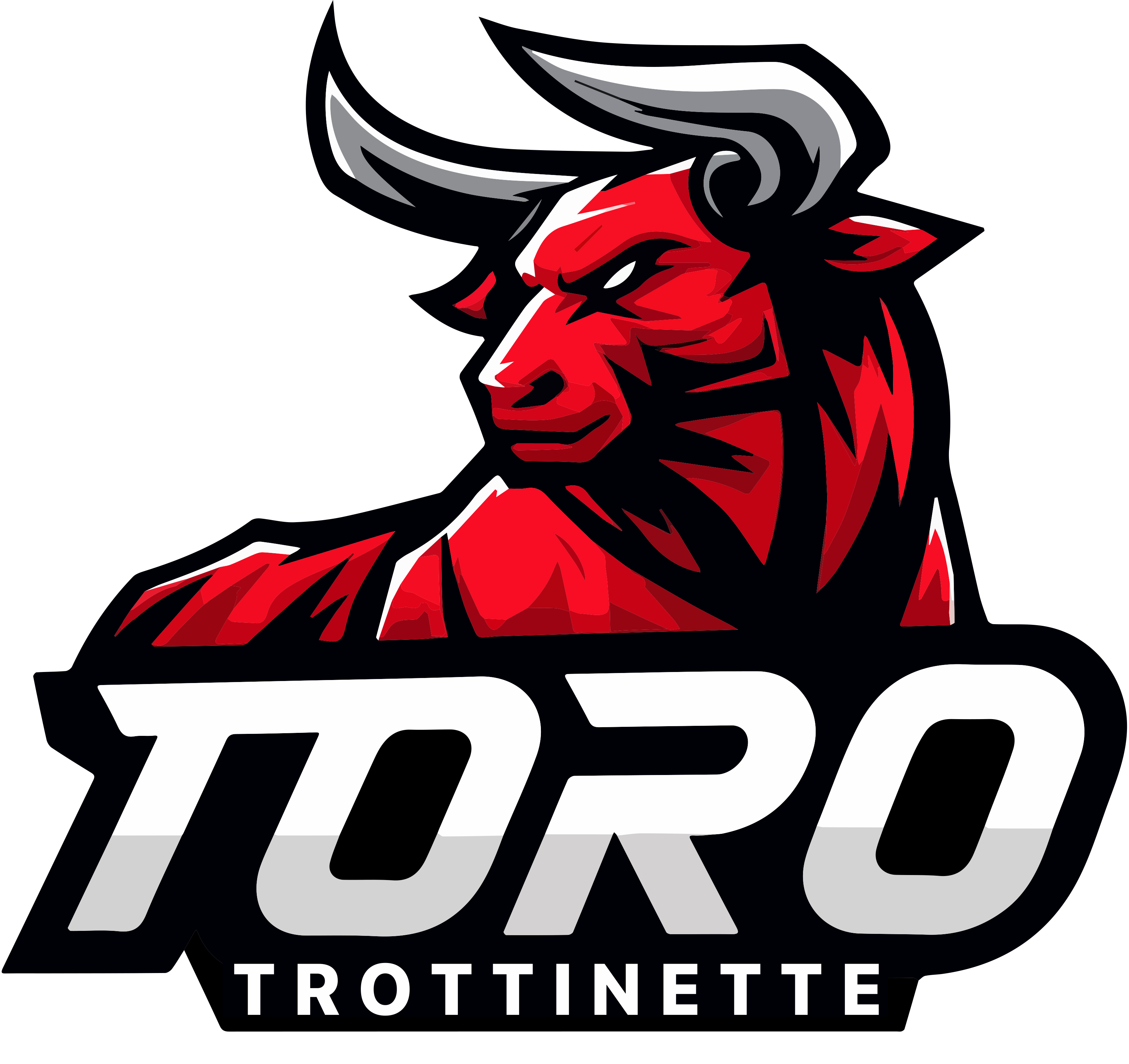 Toro Trottinette